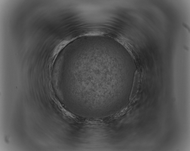X0000093440337200710121337