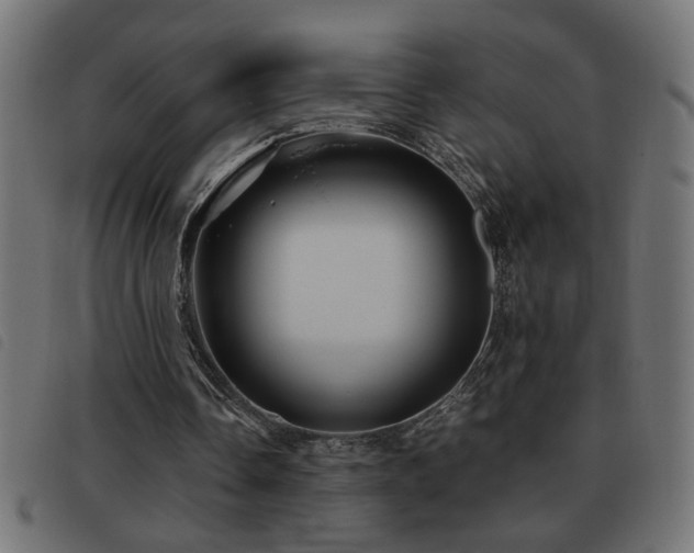 X0000093440338200710121337