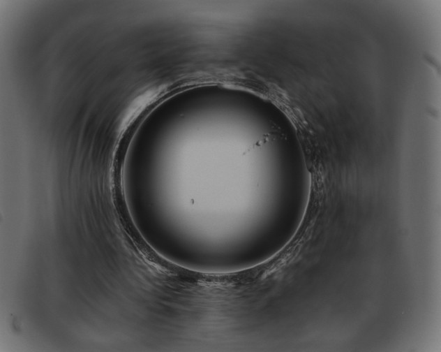 X0000093440340200710121337