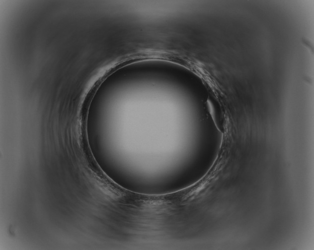 X0000093440342200710121337