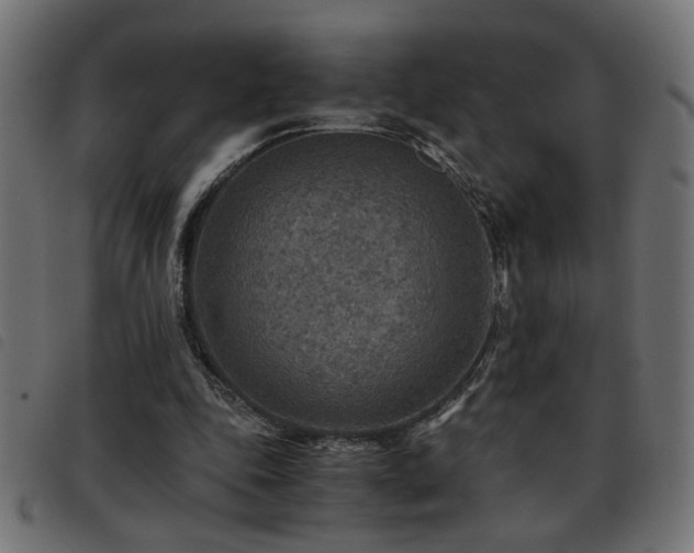 X0000093440343200710121338