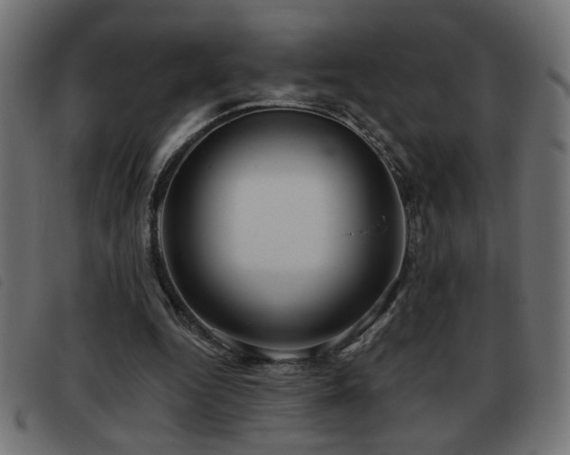 X0000093440344200710121338