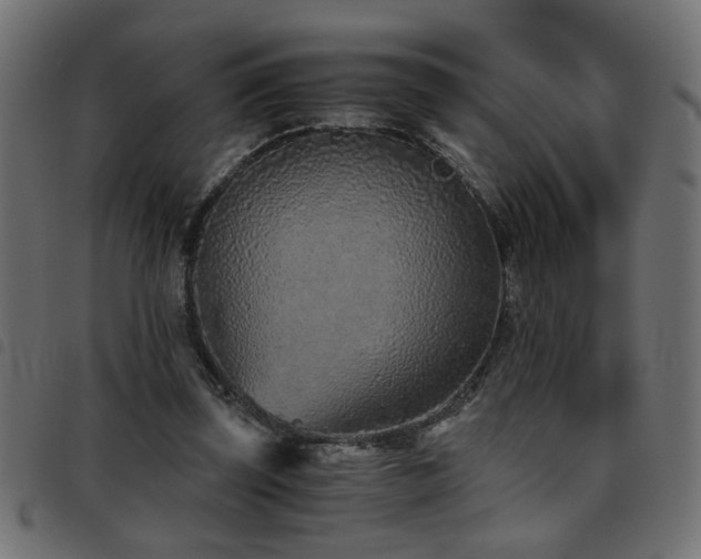 X0000093440347200710121338