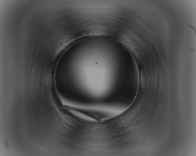 X0000093440348200710121338