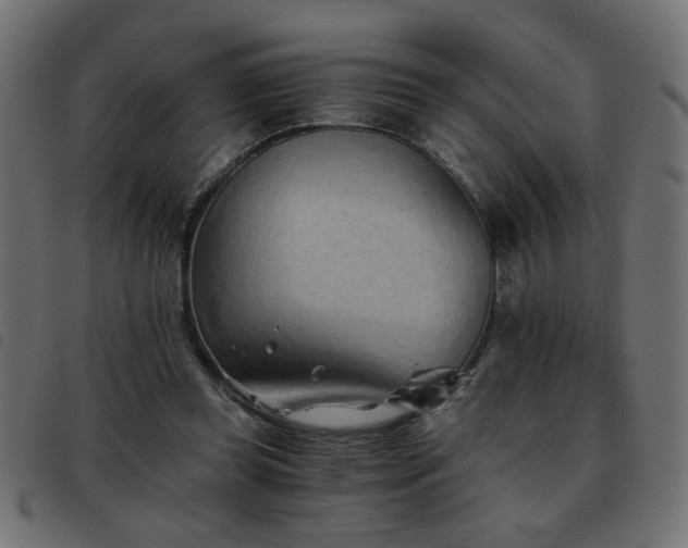 X0000093440349200710121338