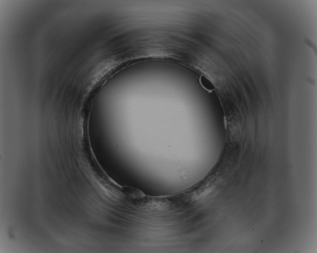 X0000093440350200710121338