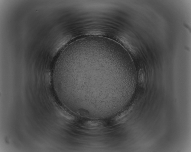 X0000093440351200710121338