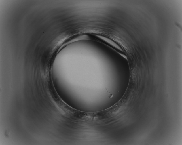 X0000093440352200710121338
