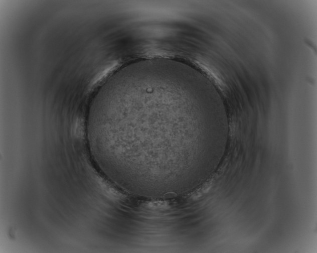 X0000093440353200710121338