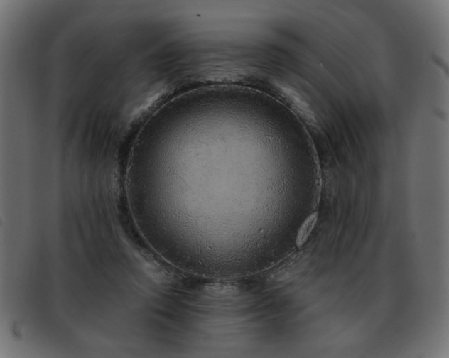 X0000093440354200710121338