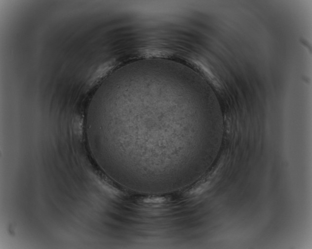 X0000093440357200710121338