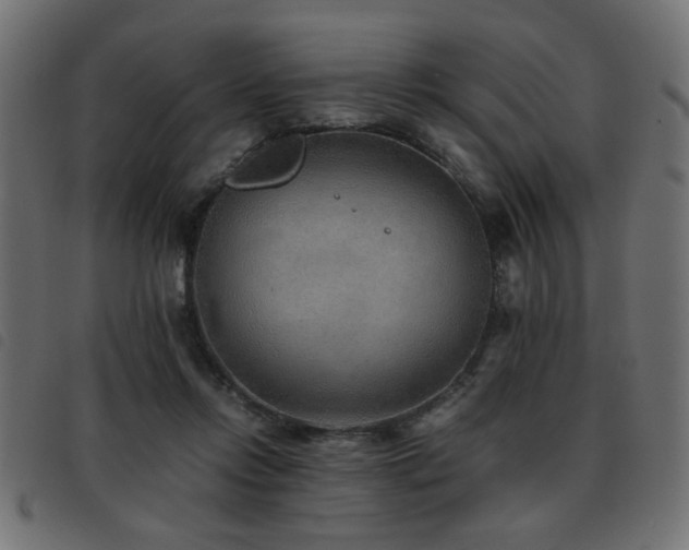 X0000093440358200710121338