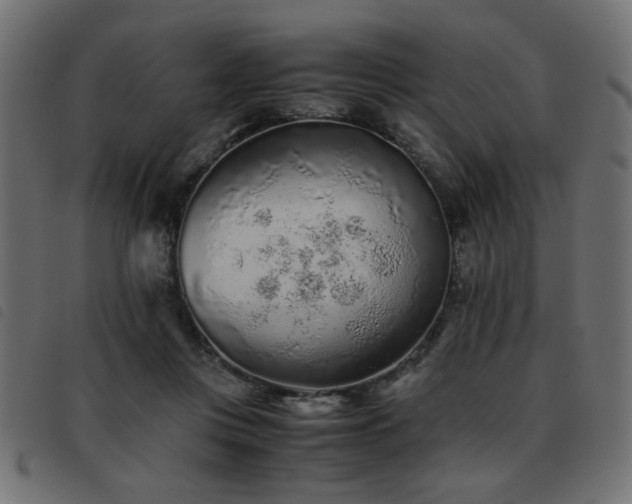 X0000093440359200710121338
