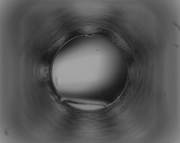 X0000093440360200710121338