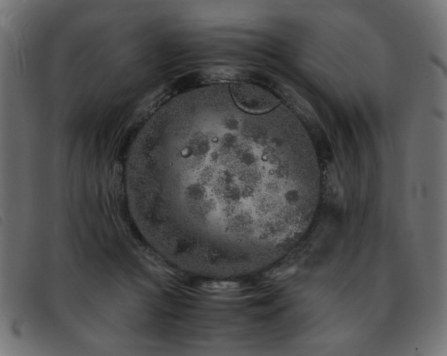 X0000093440361200710121338