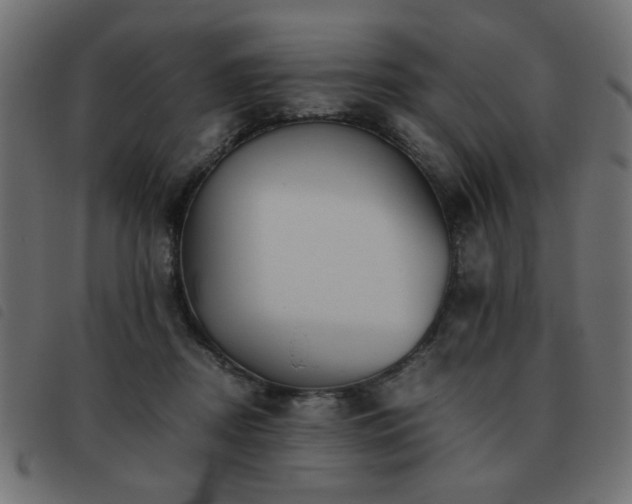 X0000093440362200710121338