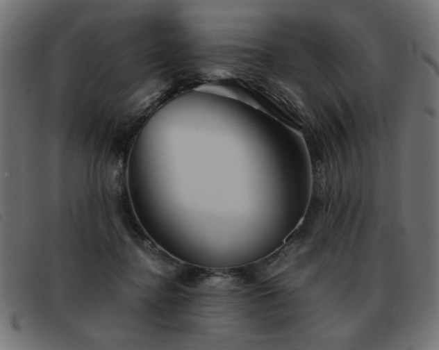 X0000093440364200710121338