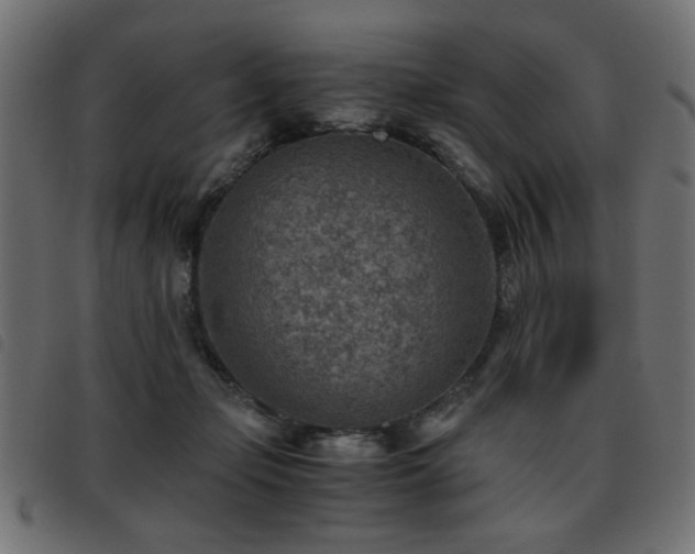 X0000093440365200710121338