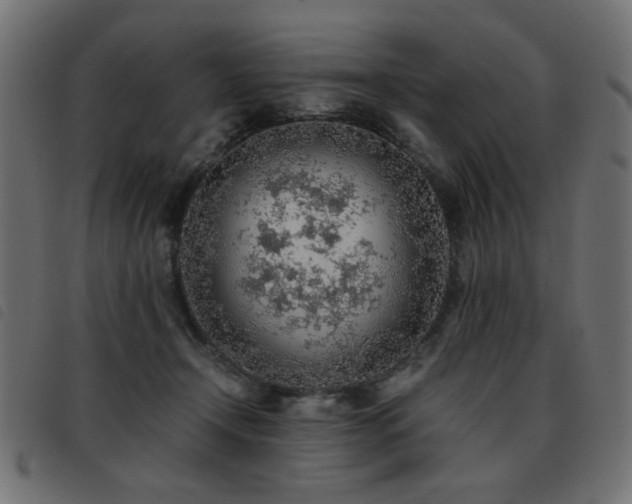 X0000093440366200710121338