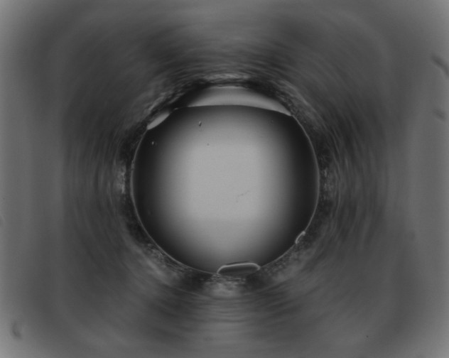 X0000093440368200710121338