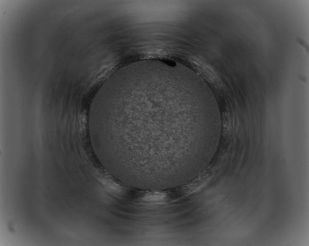 X0000093440369200710121338