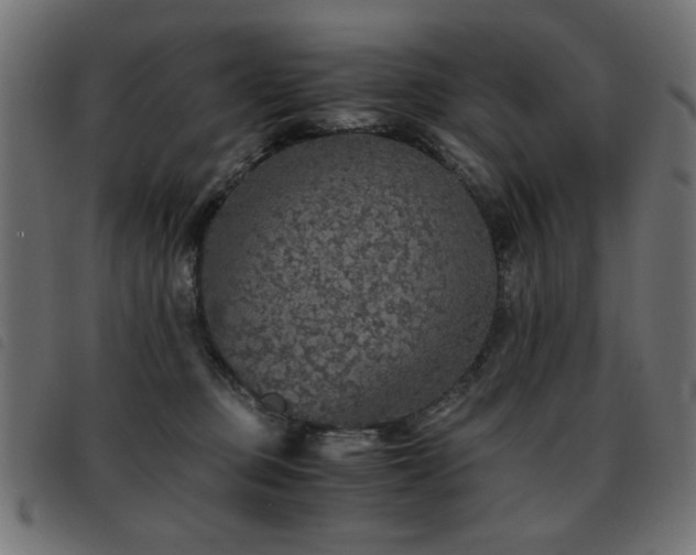 X0000093440373200710121338