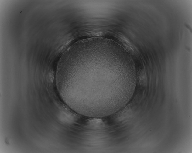X0000093440374200710121338