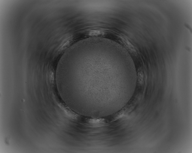 X0000093440375200710121338