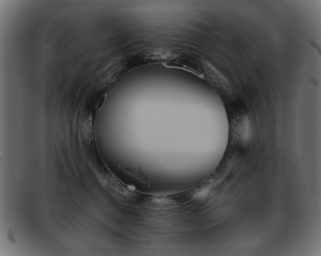 X0000093440376200710121338