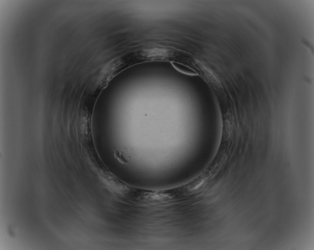 X0000093440379200710121338