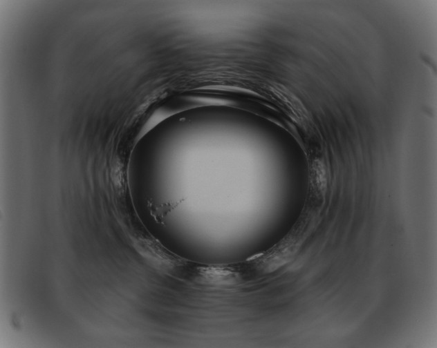 X0000093440380200710121338