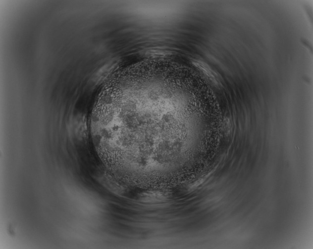 X0000093440381200710121338