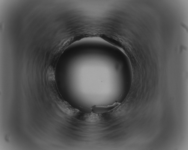 X0000093440384200710121338