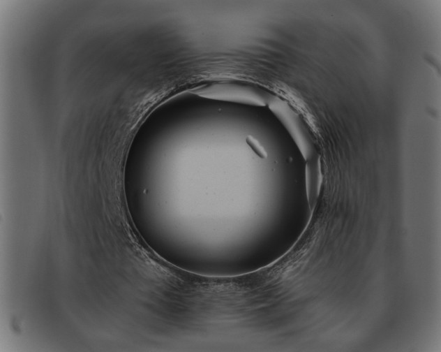 X0000093440385200710121337