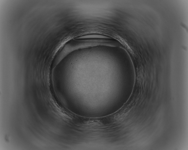 X0000093440386200710121337