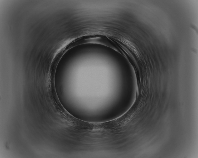 X0000093440388200710121337