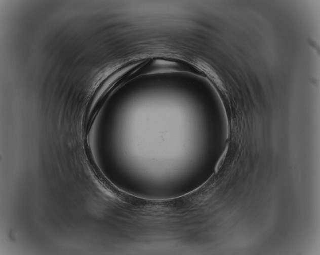 X0000093440389200710121337