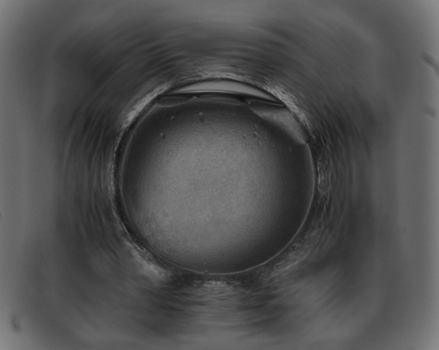 X0000093440390200710121337