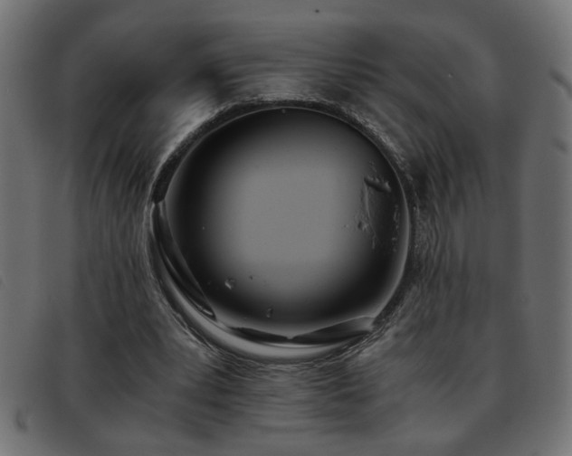 X0000093440391200710121337