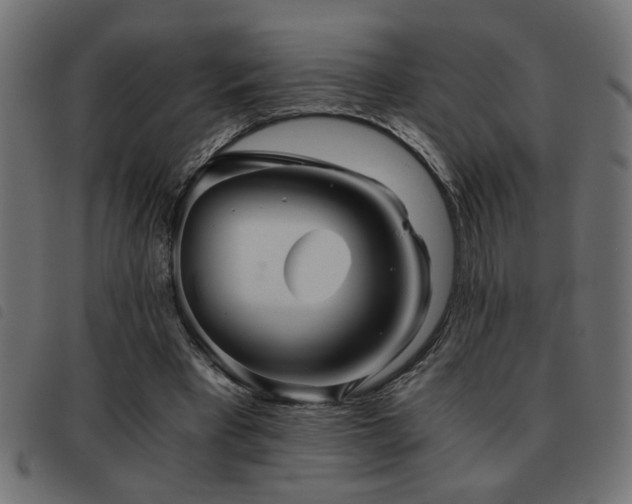X0000093440393200710121337