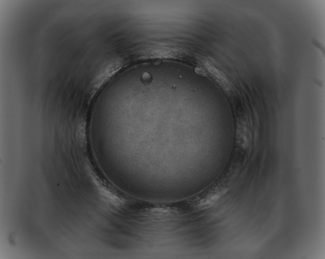 X0000093440394200710121337