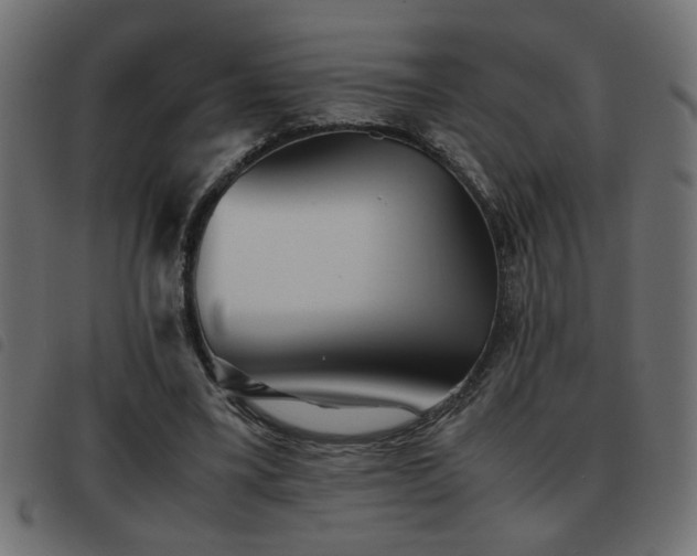 X0000093440395200710121337