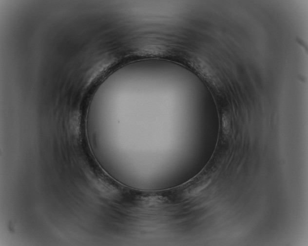 X0000093440396200710121337