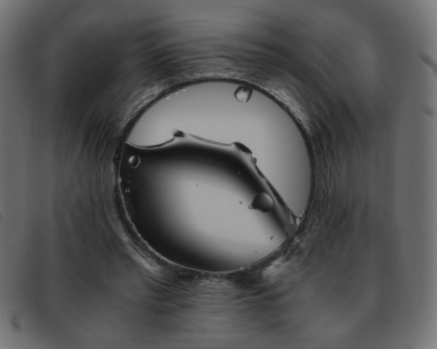 X0000093440397200710121337