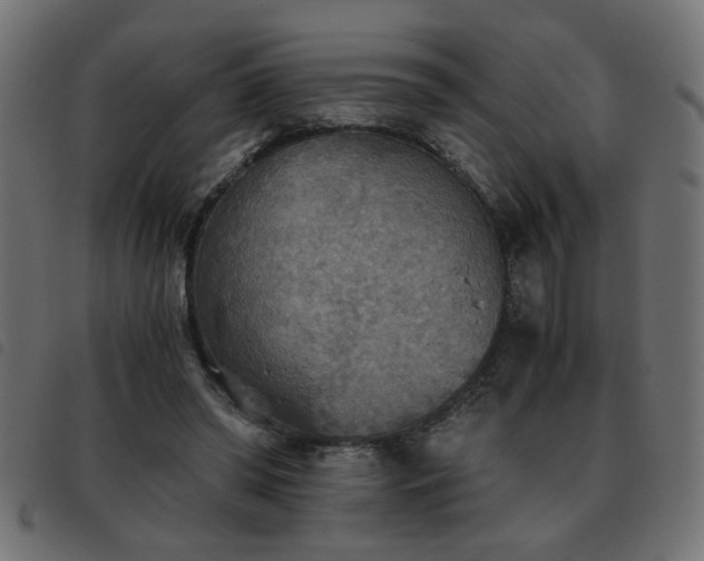 X0000093440398200710121337