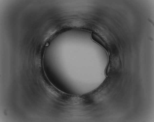 X0000093440399200710121337