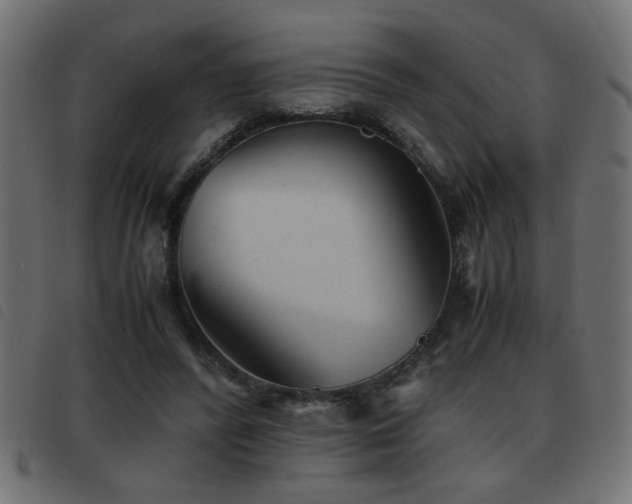 X0000093440400200710121337