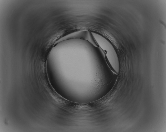 X0000093440401200710121337