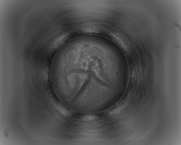 X0000093440402200710121337