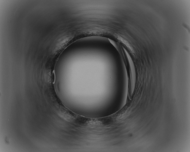 X0000093440403200710121337